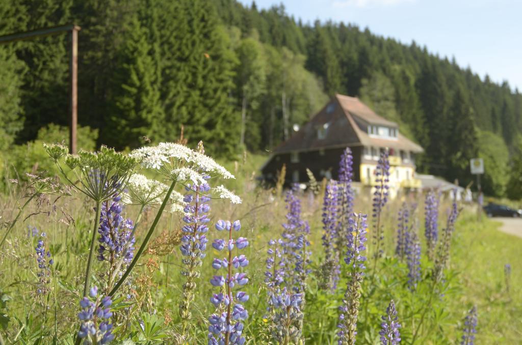 Gasthaus Hotel Loeffelschmiede Feldberg  Exteriör bild