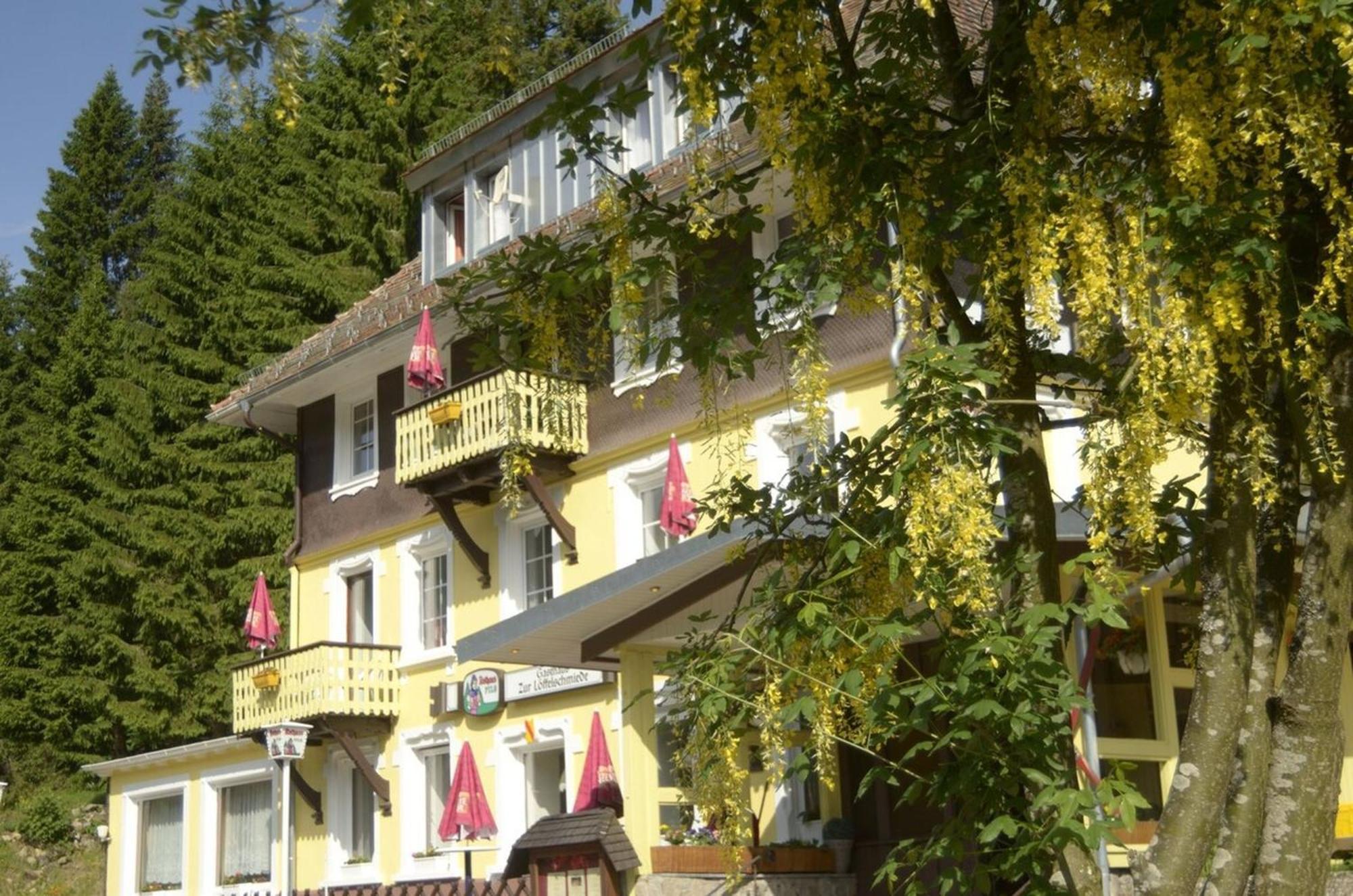 Gasthaus Hotel Loeffelschmiede Feldberg  Exteriör bild